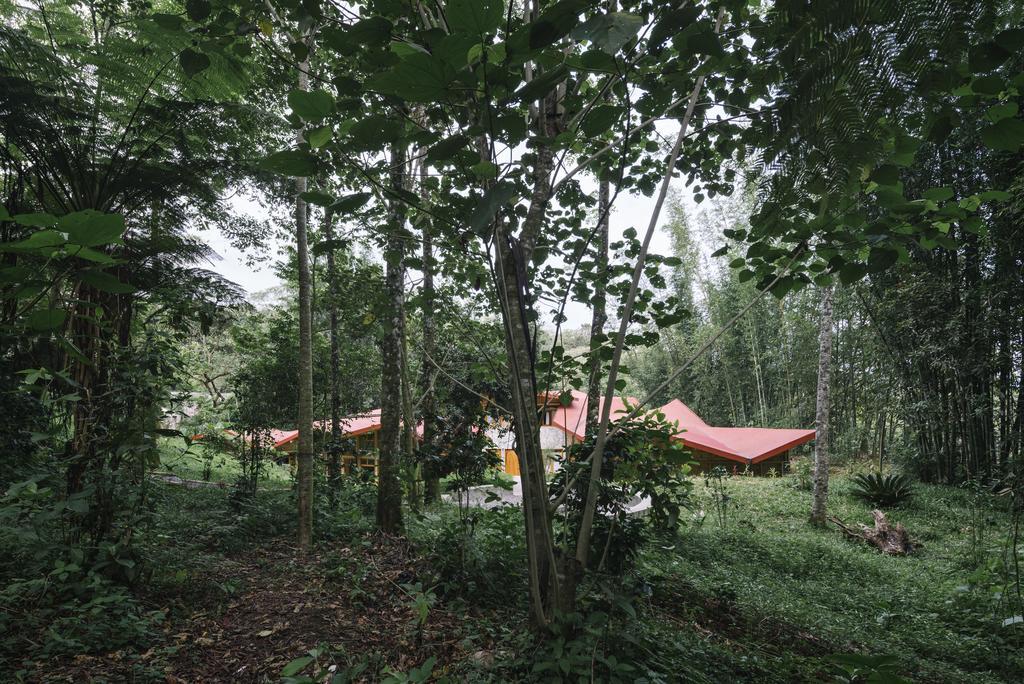 Hostal Tosepan Kali คูเอตซาลันเดลโปรเกรโซ ภายนอก รูปภาพ